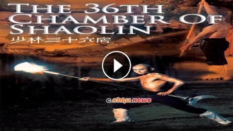 مشاهدة فيلم The 36th Chamber of Shaolin 1978 مترجم